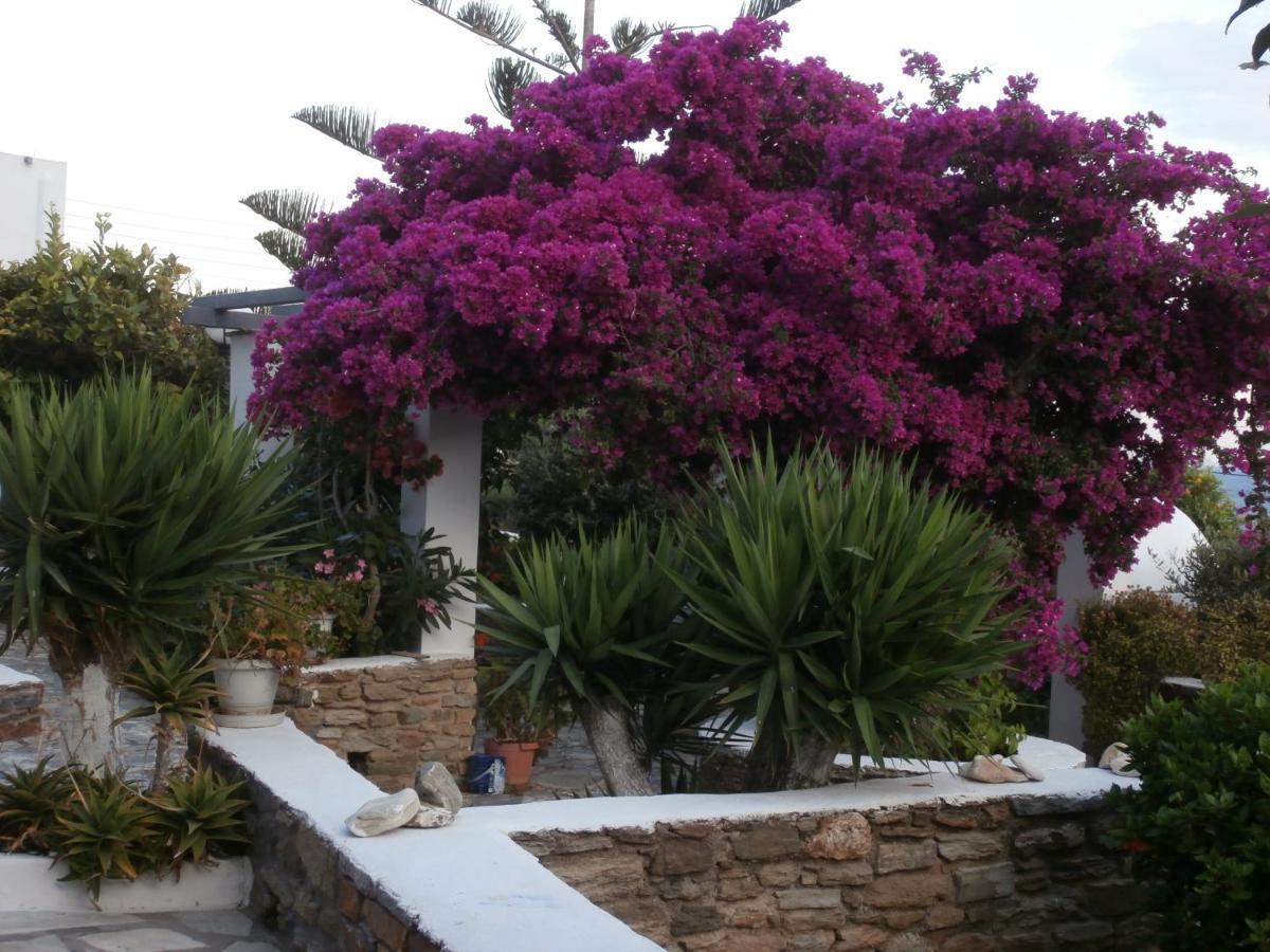 Galini Bungalows Киониа Екстериор снимка