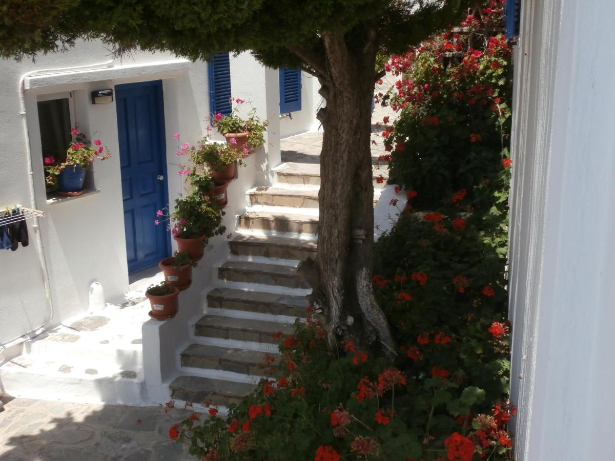 Galini Bungalows Киониа Екстериор снимка